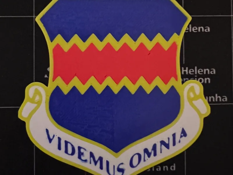 55th Wing Patch