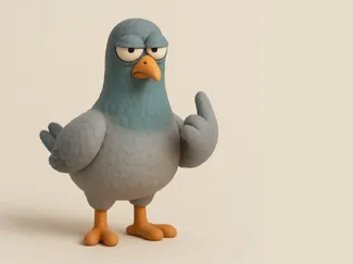 Judgemental Pidgeon