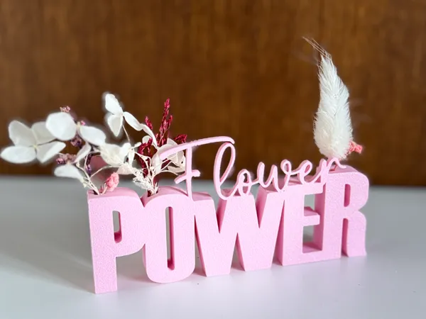 https://makerworld.bblmw.com/makerworld/model/UScd24fbfae2accc/design/2025-04-08_9dd3acc71f5518.jpg