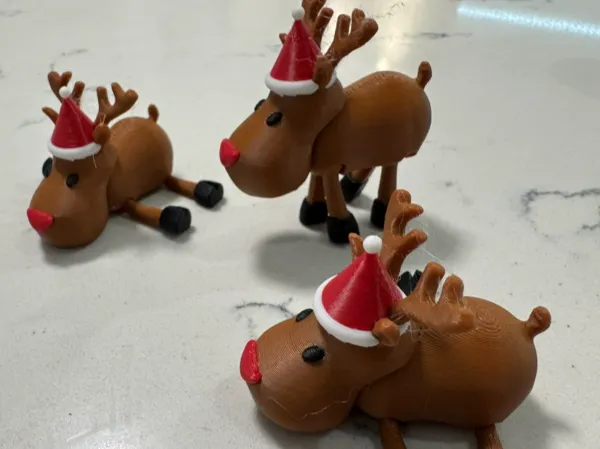 https://makerworld.bblmw.com/makerworld/model/UScd285241052f0d/design/2024-12-16_2cb23c6418fad.jpg