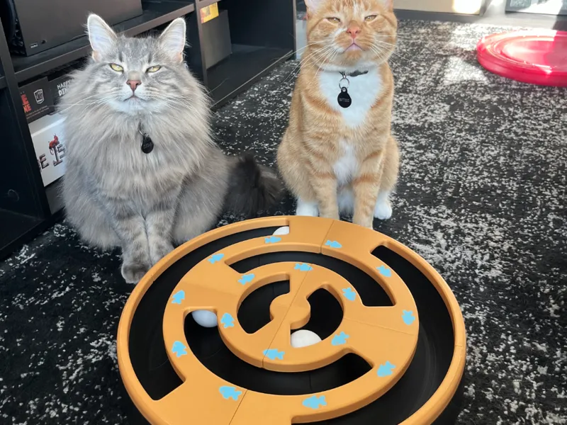 Cat Roller Track Toy