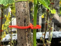 0.2mm 层高, 5 层墙, 15% 填充