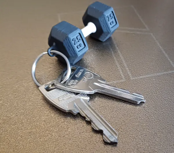 https://makerworld.bblmw.com/makerworld/model/UScd37b0f229a18f/design/2024-11-17_3beffdca7477f.jpg