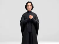 Severus Rogue — figurine Harry Potter — photo 2