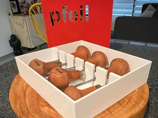 PFEIL CASE