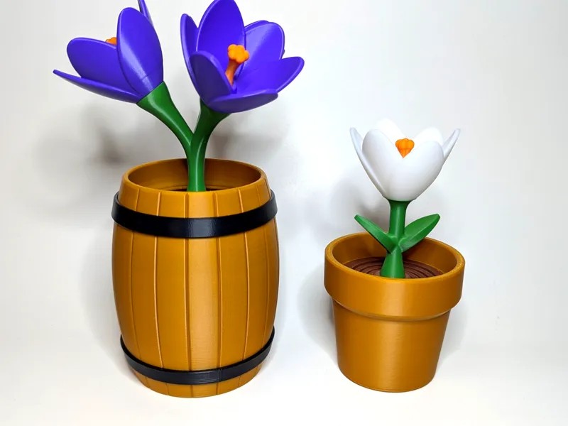 Crocus Flower - Springy Flower Collection