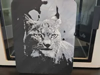 0.2mm layer, 2 walls, 100% infill