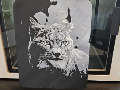 Lynx textured Art - 3 colors 