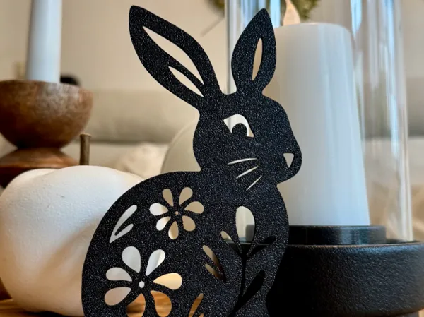 https://makerworld.bblmw.com/makerworld/model/UScd470910307caa/design/2025-03-26_9b16b32b715d2.jpg