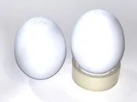 0.2mm layer, 2 walls, 5% infill