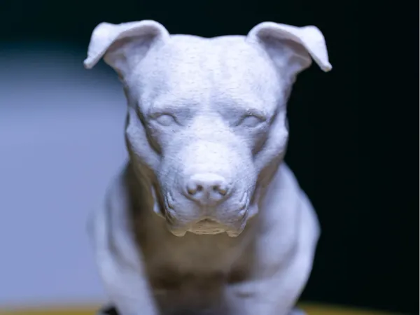 https://makerworld.bblmw.com/makerworld/model/UScd67fa4531741e/design/2025-12-01_a4f5da520e0a28.jpg
