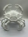 11*9*10 solid infill