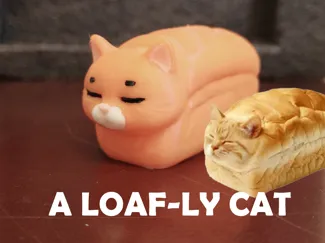 A Loaf Cat 面包哈吉喵