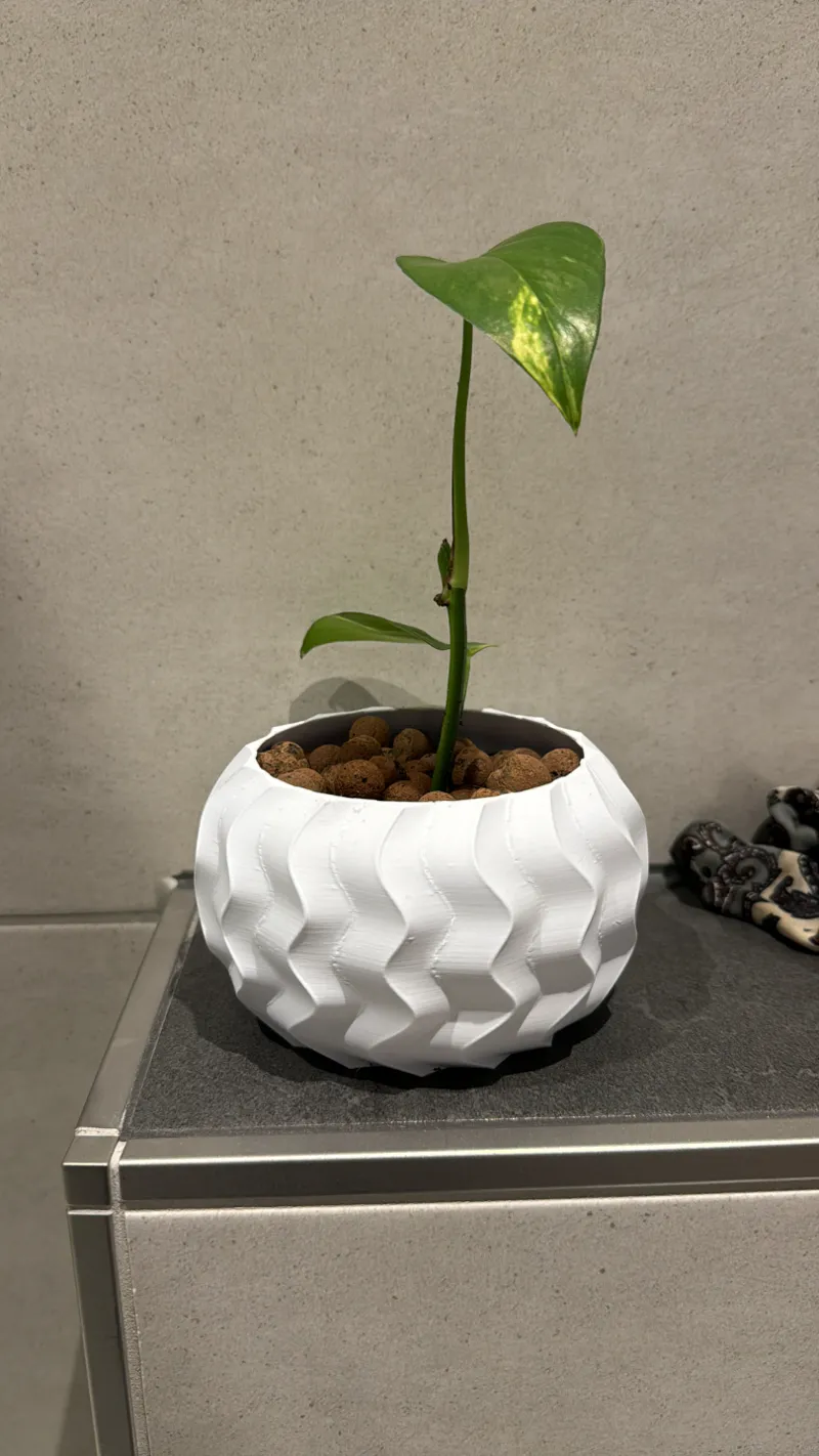 Wavy plat pot / flower pot