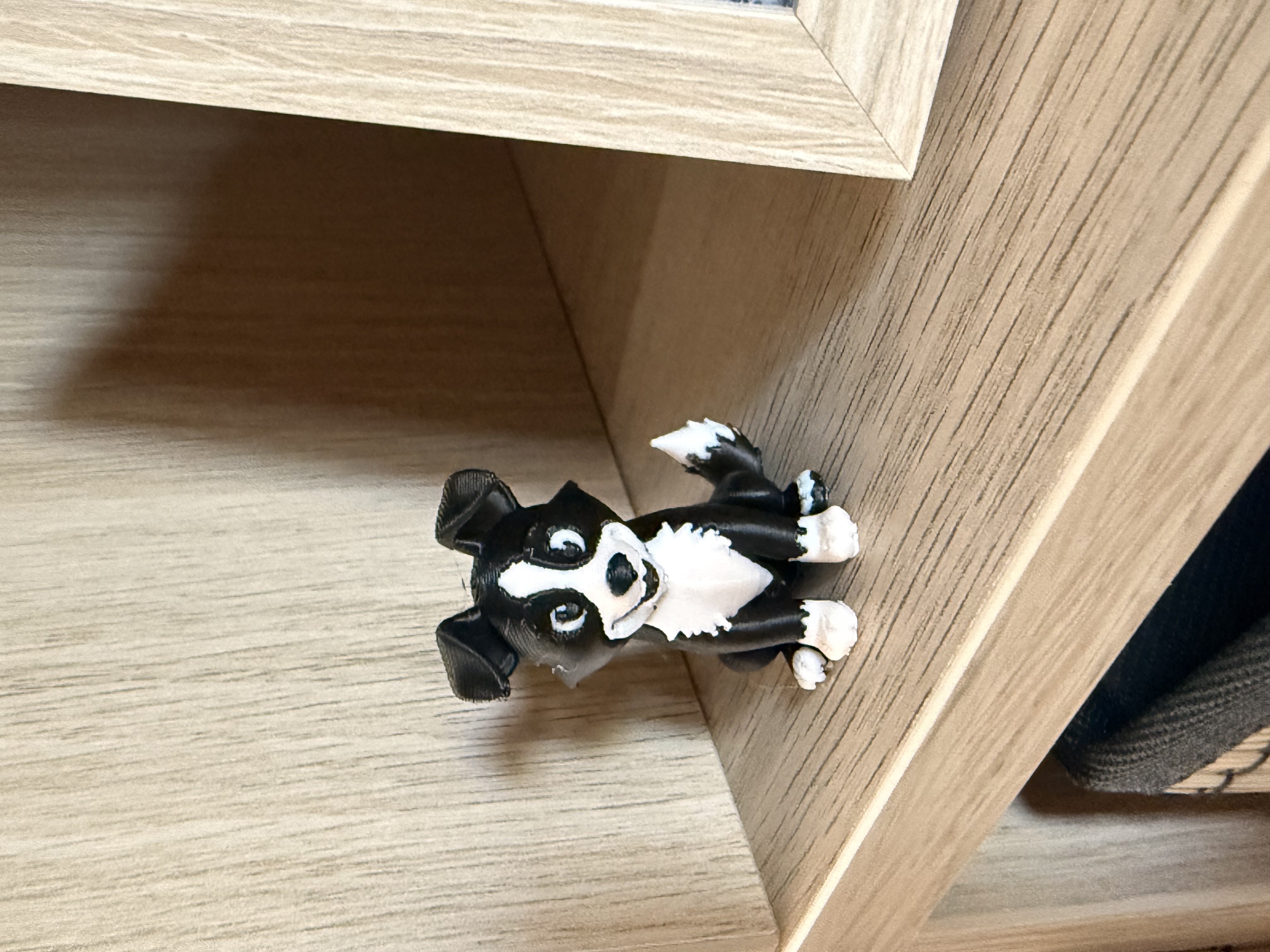 Miniatura 2 do modelo 3D Border Collie