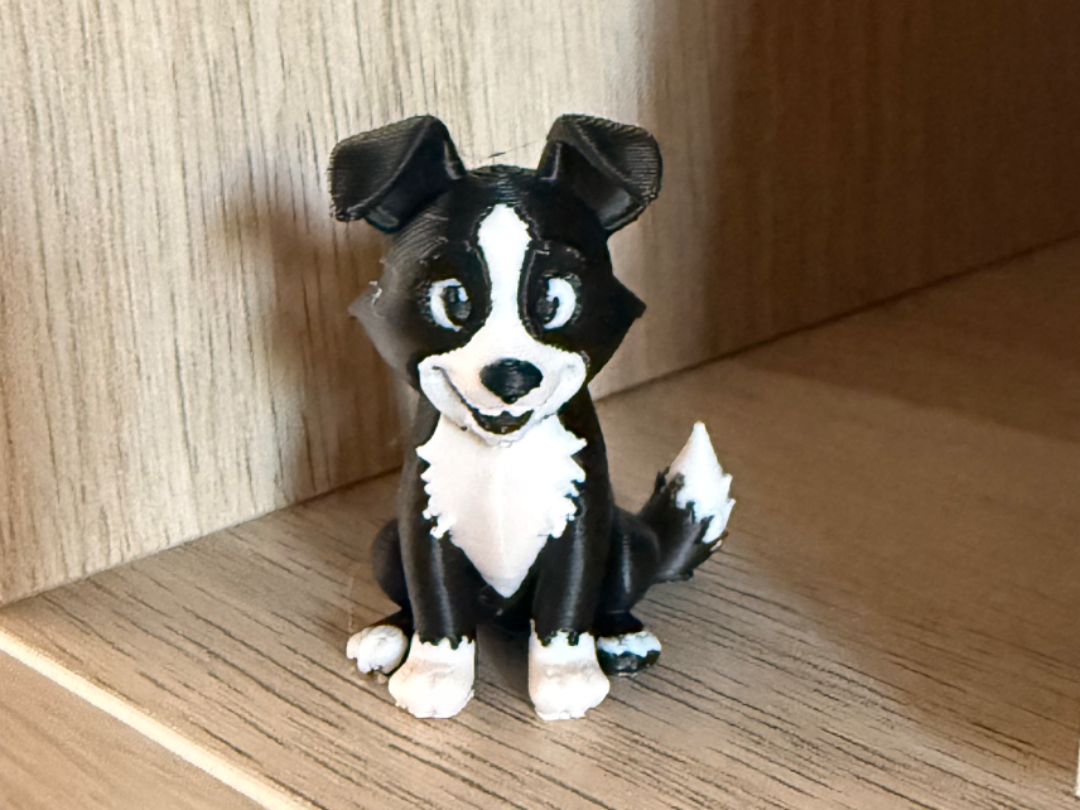 Border Collie