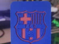 0.2mm layer, 4 walls, 20% infill