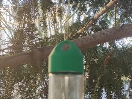Geocache oder Gewürzglas Deckel (NFC/ Magnet/ Öse)