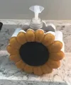 Version For Softsoap Brand