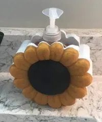 Version For Softsoap Brand