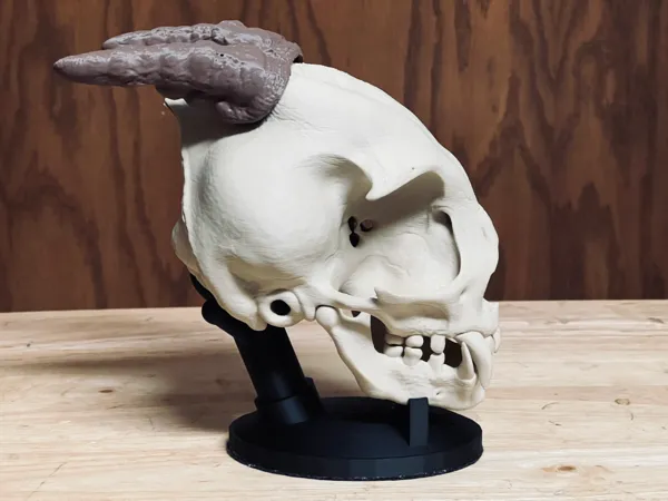 https://makerworld.bblmw.com/makerworld/model/UScd8092a6ffa234/design/2024-12-27_616076ee96e11.jpg