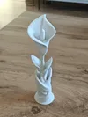 10cm 0.2mm layer, 2 walls, 10% infill