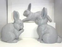 0.2mm layer, 2 walls, 5% infill