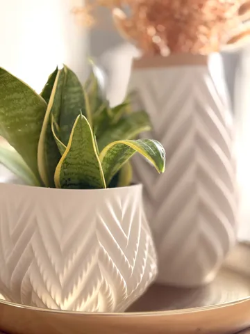 Jarrón decorativo: Kalis Duality – Dual-Color Chevron Vase Set & Tray — vista de referencia 4
