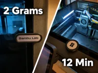 0.16mm layers, 12 minutes, 2 grams.