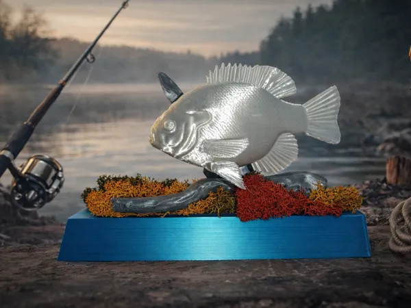 https://makerworld.bblmw.com/makerworld/model/UScd8938279e9b8c/design/b9829961265f75ae.png