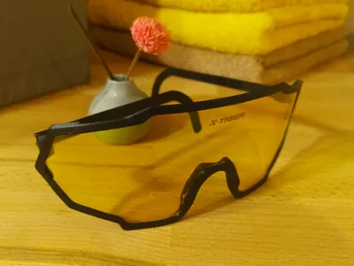 X-Tiger Sunglasses Replacement Frame