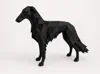 Small & Big Borzoi