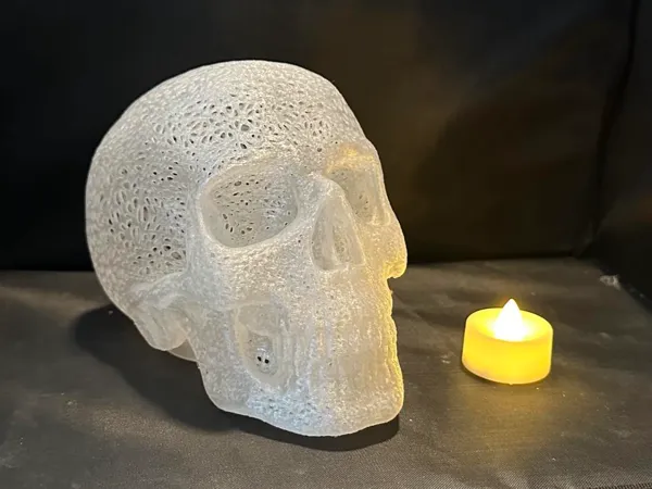 https://makerworld.bblmw.com/makerworld/model/UScd99bed4464141/design/2024-09-13_f298e9df10c2d.jpg