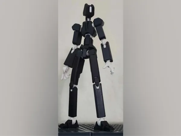 https://makerworld.bblmw.com/makerworld/model/UScd9e757fdd8a74/design/2024-11-27_cc6ee096a654b.jpg