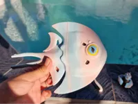 Poisson Halfmoon de Subnautica 2 — photo 1