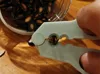 0.175mm layer, 6 walls, 40% infill