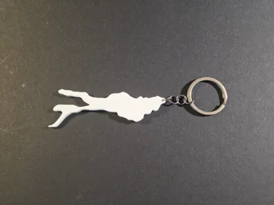 Lake Constance Keychain
