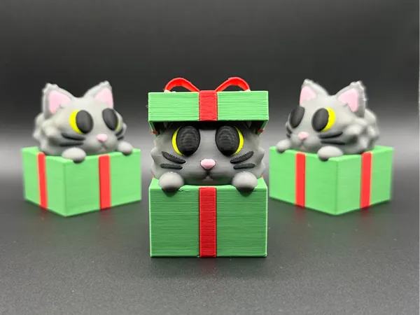 https://makerworld.bblmw.com/makerworld/model/UScda518c2b51b39/design/2024-11-15_445f70f84f7bd.jpeg
