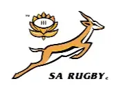 south africa rugby union lightbox