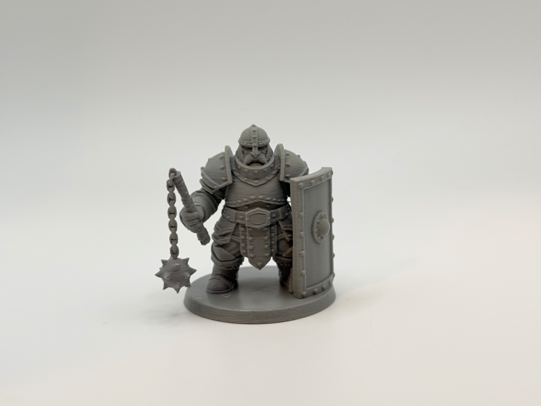 Stout Shield Knight - Mace Guard