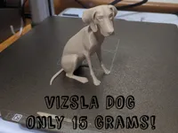 Chien Vizsla assis — photo 2
