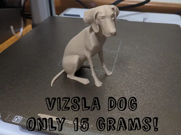 Chien Vizsla assis