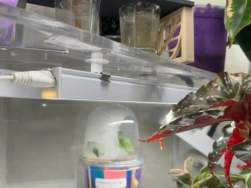 Acrylic Shelf T5 Barrina Grow Light Holder