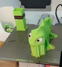 Pascal le caméléon — photo 3