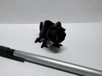 Pascal le caméléon — photo 5