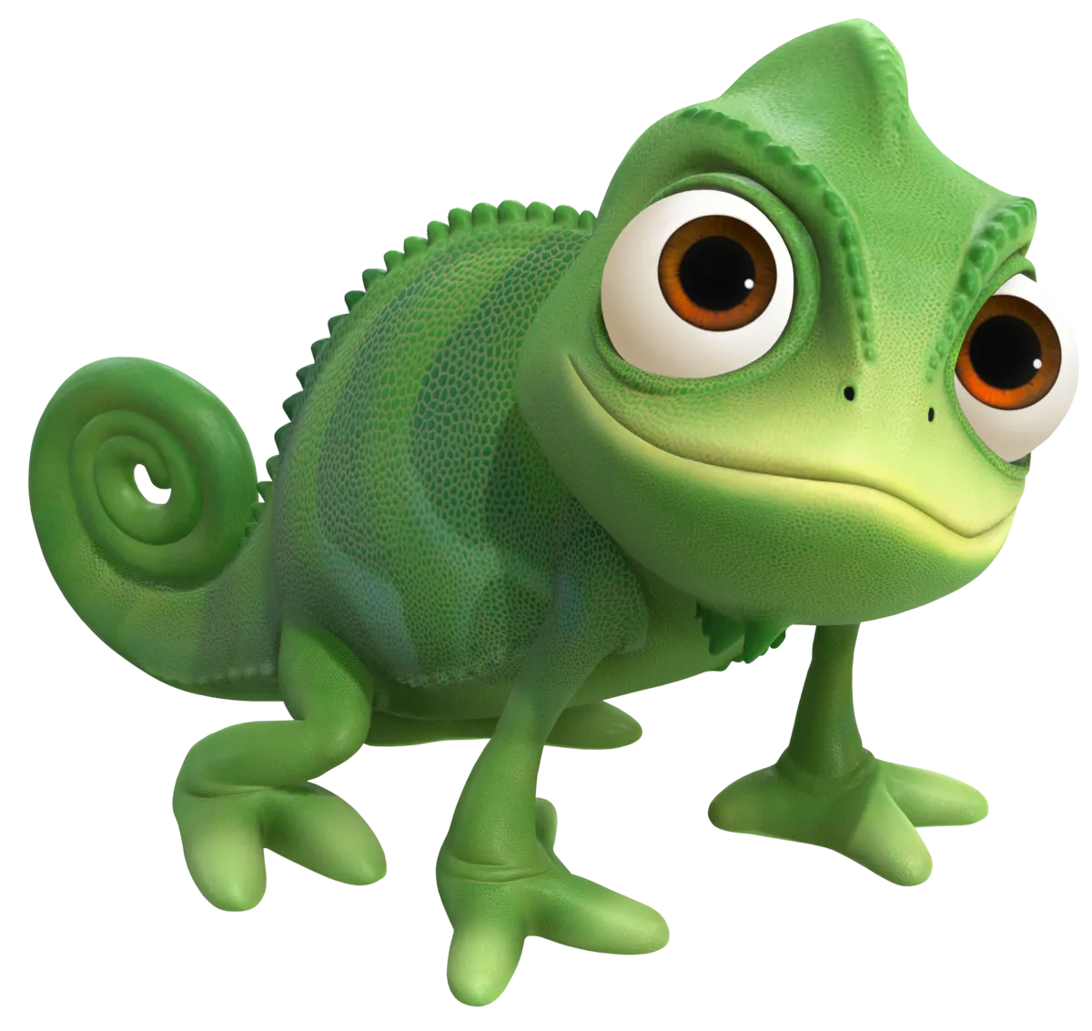 Pascal le caméléon