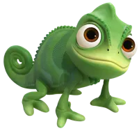 Pascal le caméléon — photo 1