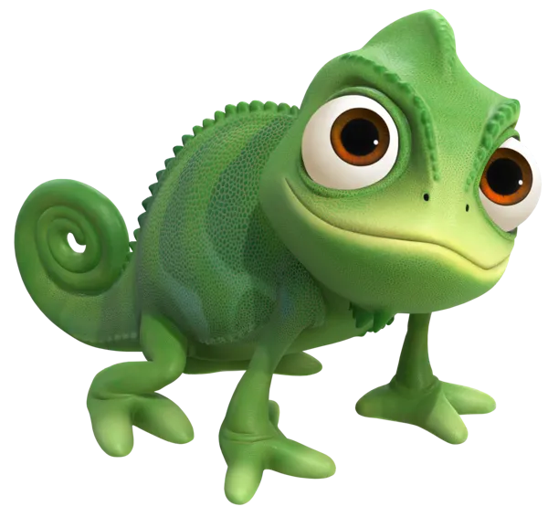 Pascal le caméléon