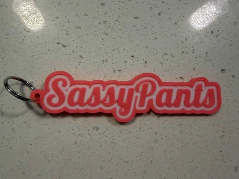 Keychain - Upto 3 Color SassyPants 1" x 4" in Size