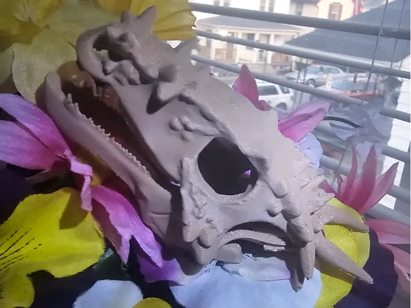Dracorex Hogwartsia Skull